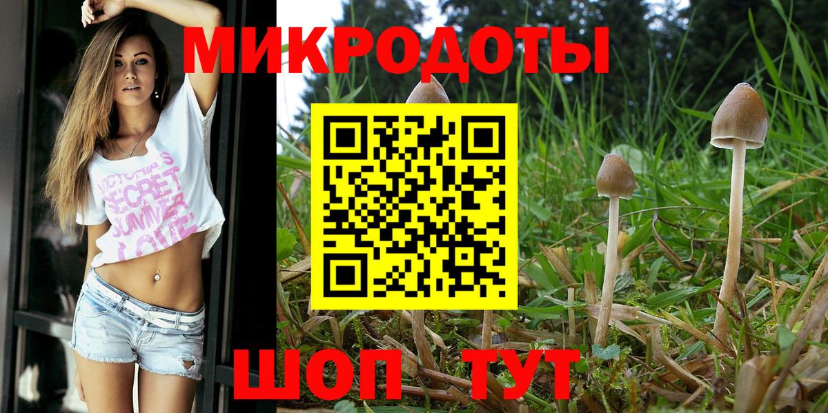 Галлюциногенные грибы Cubensis Реутов