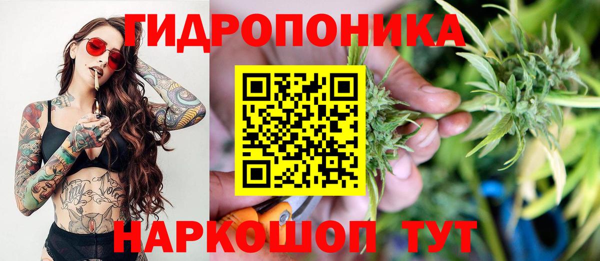 Канабис планчик Реутов
